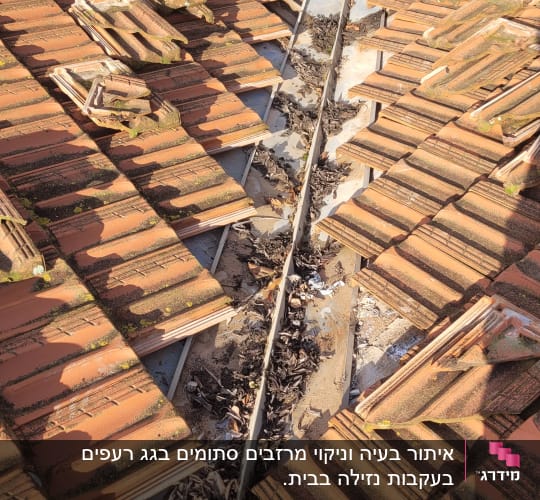 רעפים שבורים על גג עם עלים יבשים בתעלה